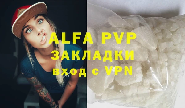 дживик Белокуриха