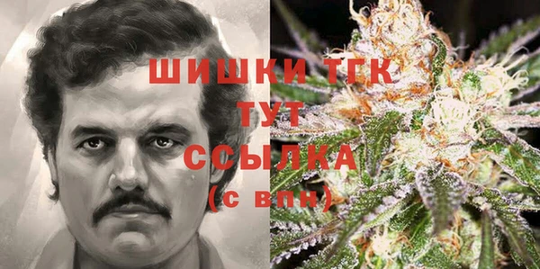 дживик Белокуриха
