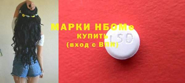 дживик Белокуриха