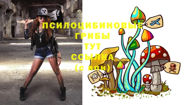дживик Белокуриха