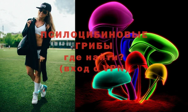 дживик Белокуриха