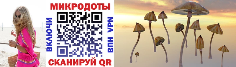 Псилоцибиновые грибы мухоморы  Новое Девяткино 